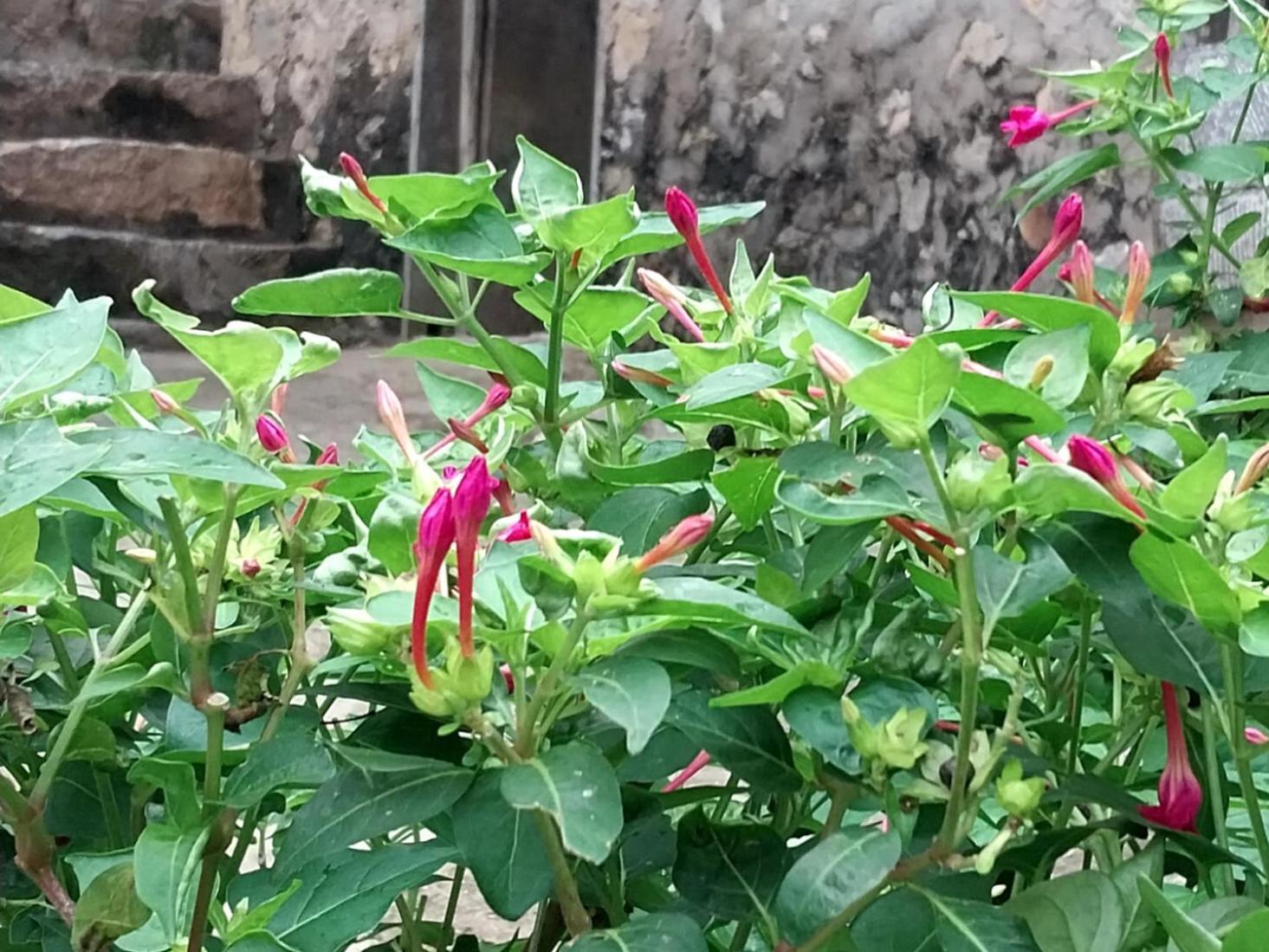 Trieu Hoan Homestay Cao Bang Extérieur photo