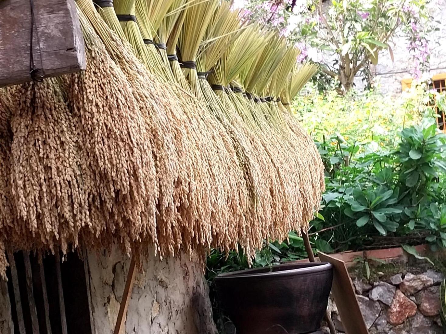 Trieu Hoan Homestay Cao Bang Extérieur photo
